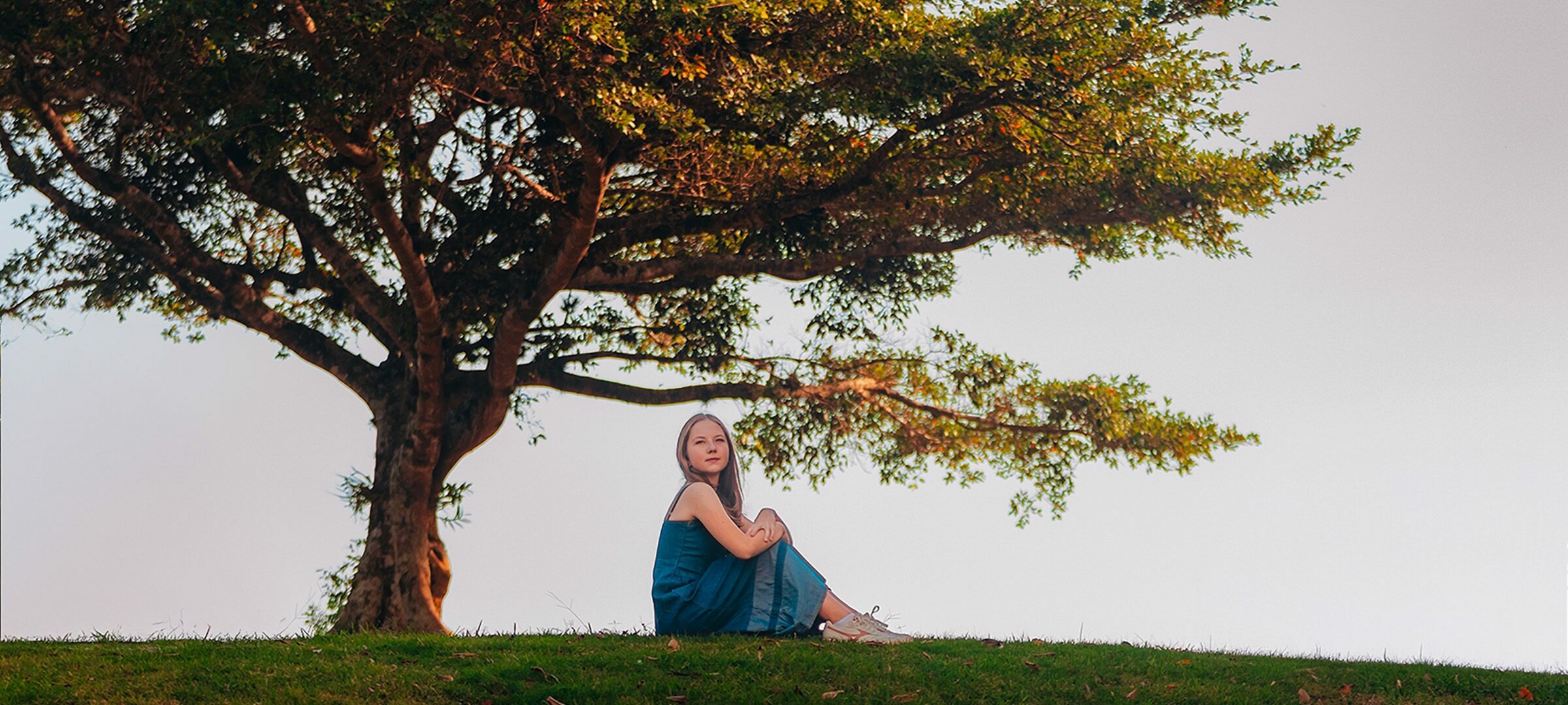 Foto de Alencar da Rosa 0