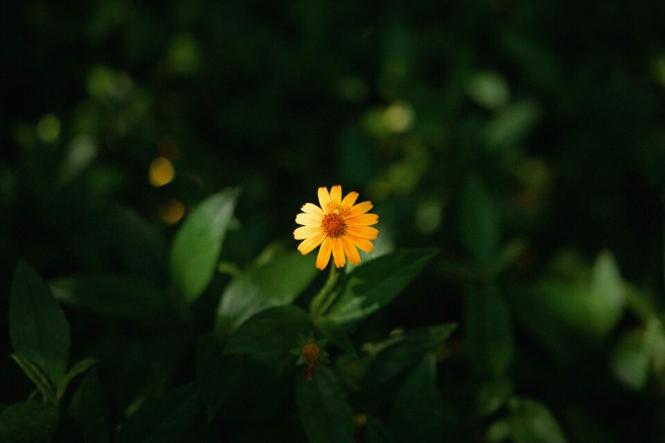 Fotografia de Paisagem