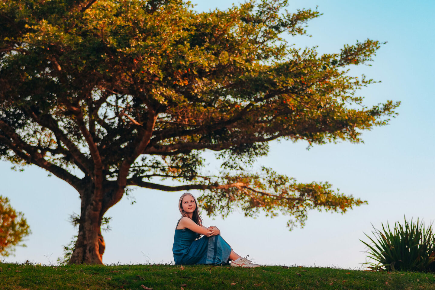 15 anos contados com verdade e sensibilidade